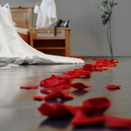 Hotel Hotel-restaurant Ammertmann